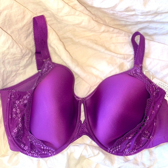 Elomi Charley Bra, 42H. Brand New with Tags! ✨ - Picture 1 of 6